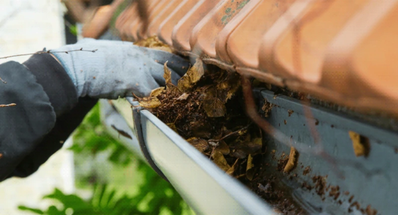 Roseville tree canopy and storm debris affecting gutters